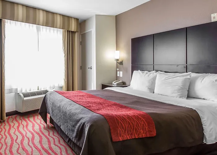 Comfort Inn Los Angeles Near Hollywood